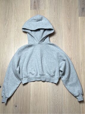 Aritzia Cozy Fleece Mega Raglan Cropped Hoodie NWOT
- Light Gray